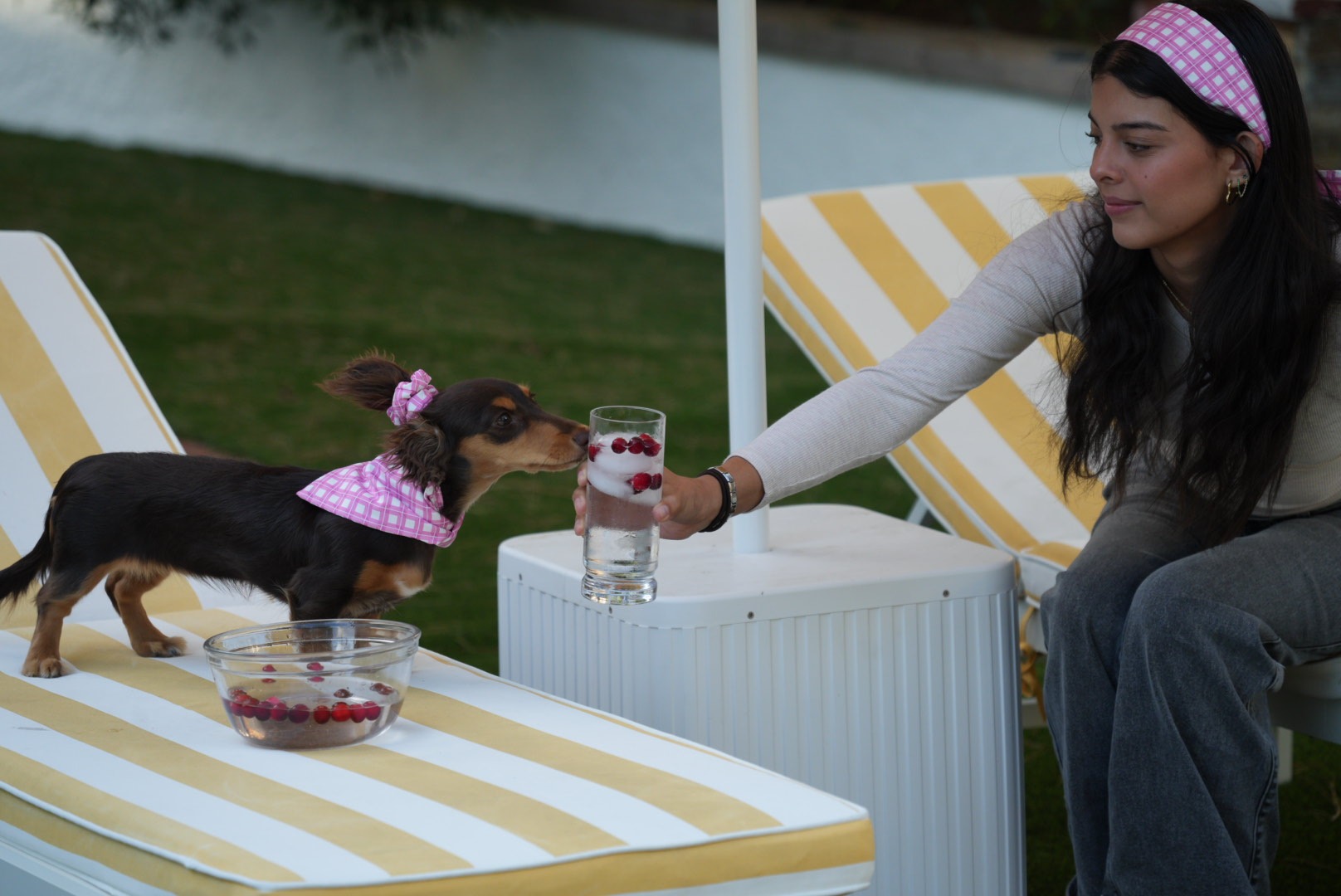 Owner sharing a drink with her dachshund on a lounge chair