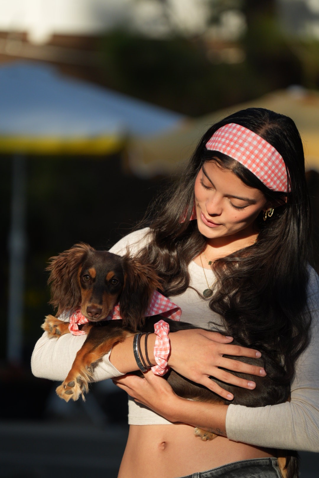 Owner cradling her dachshund in warm afternoon light