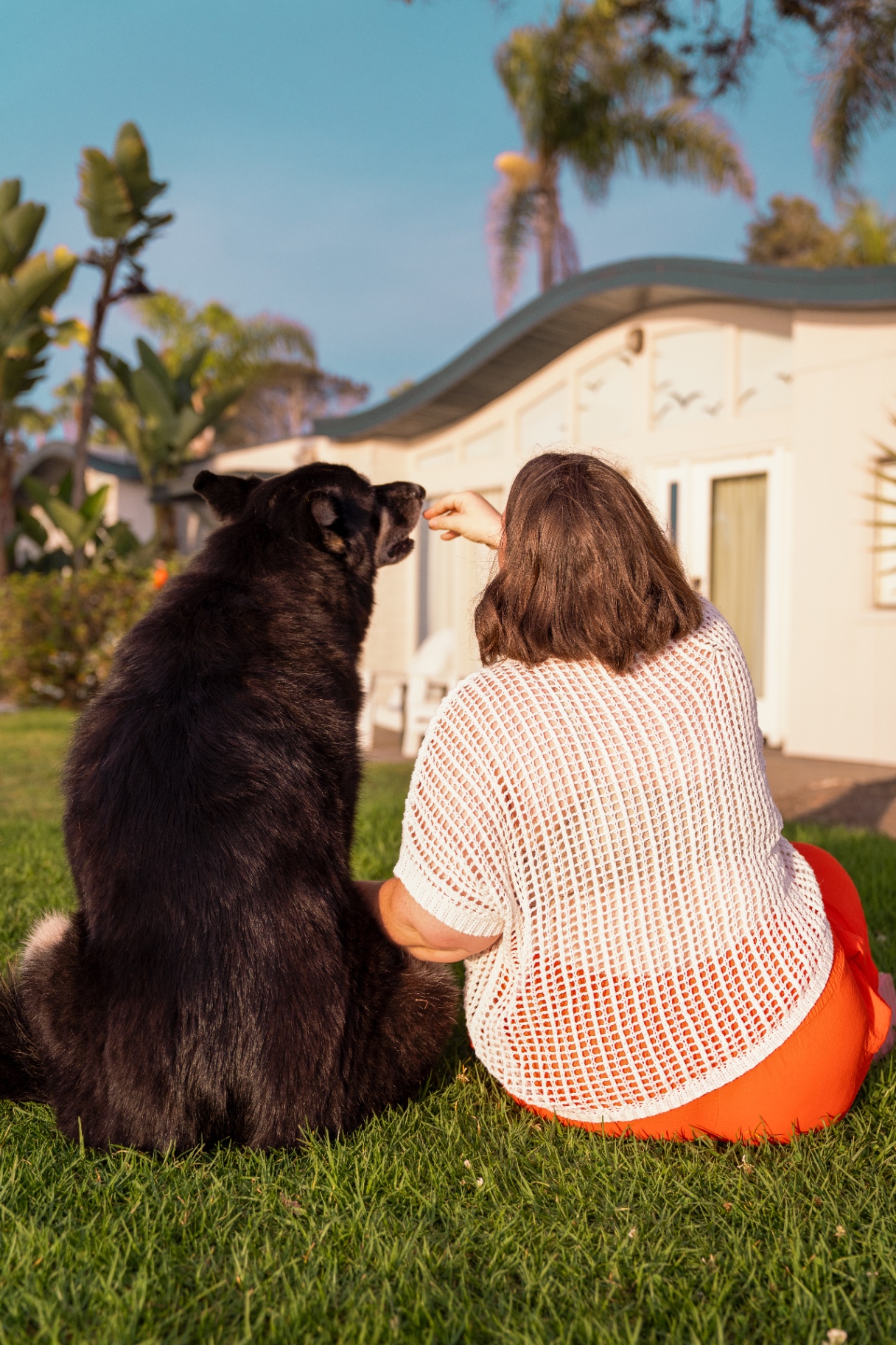 Owner playing with her dog in the backyard in warm light
