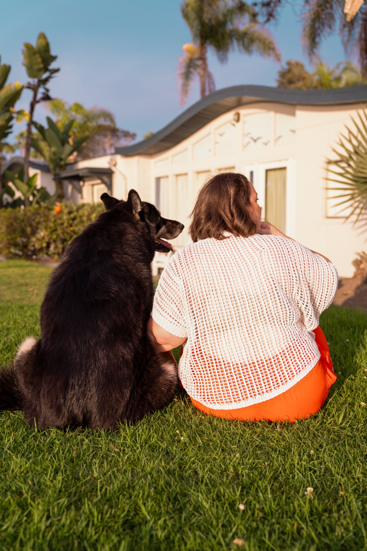 Dog and owner sitting together on the grass at golden hour